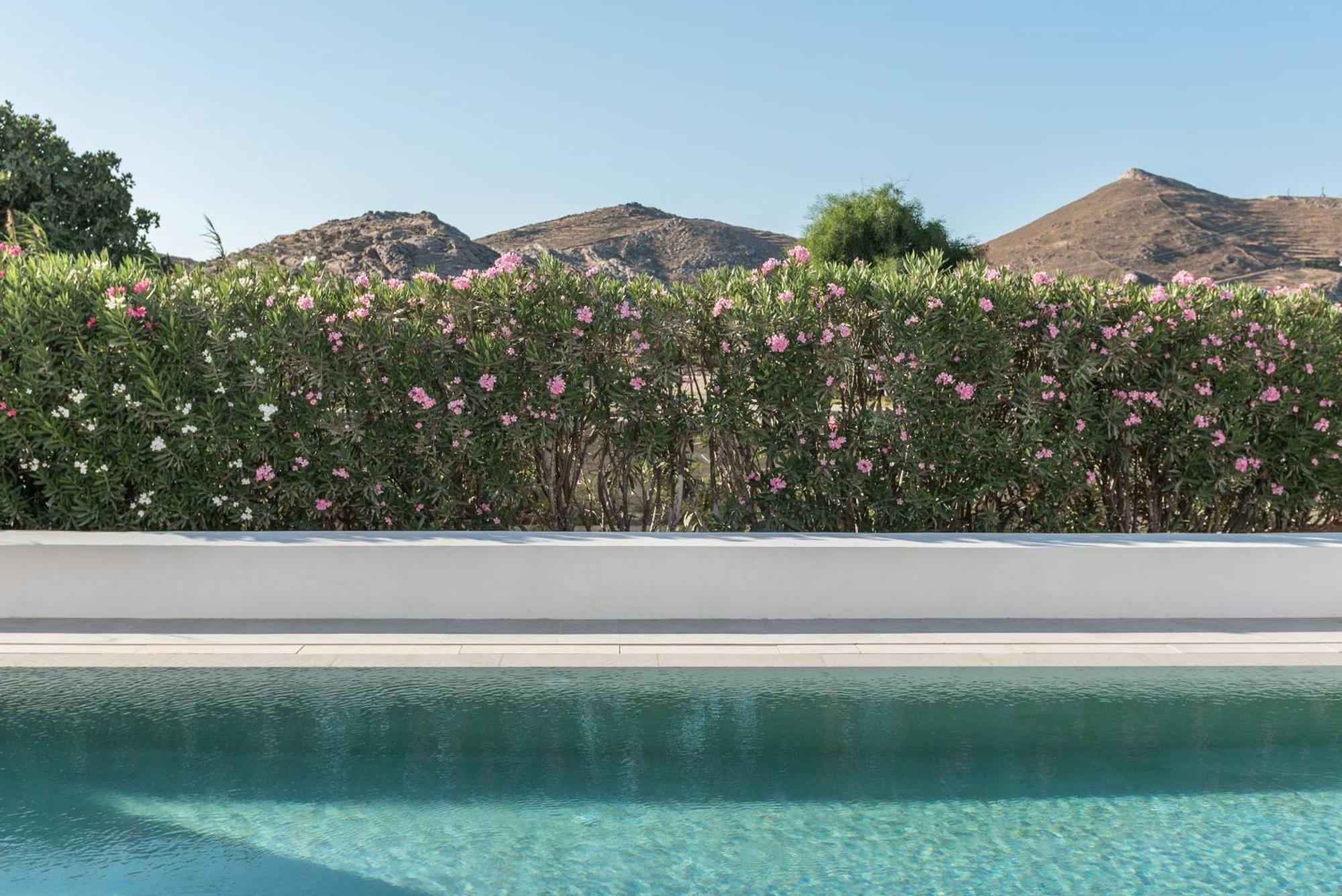 Parilio, A Member Of Design Hotels Náousa Eksteriør billede